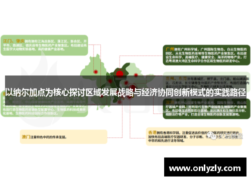 以纳尔加点为核心探讨区域发展战略与经济协同创新模式的实践路径
