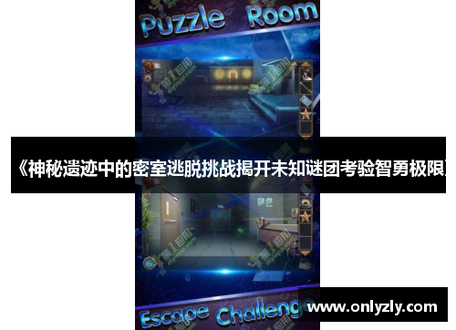 《神秘遗迹中的密室逃脱挑战揭开未知谜团考验智勇极限》